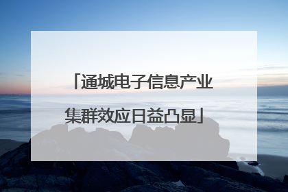 通城电子信息产业集群效应日益凸显