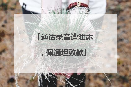 通话录音遭泄露，佩通坦致歉