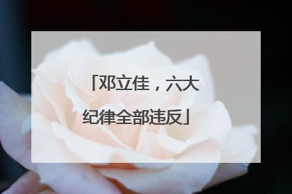 邓立佳，六大纪律全部违反