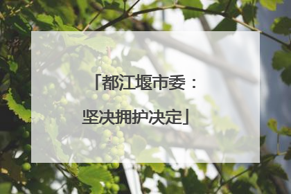 都江堰市委：坚决拥护决定