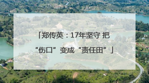 郑传英：17年坚守 把“伤口”变成“责任田”