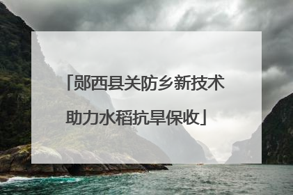 郧西县关防乡新技术助力水稻抗旱保收