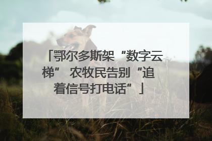 鄂尔多斯架“数字云梯” 农牧民告别“追着信号打电话”