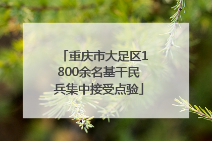 重庆市大足区1800余名基干民兵集中接受点验