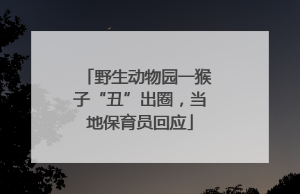 野生动物园一猴子“丑”出圈，当地保育员回应