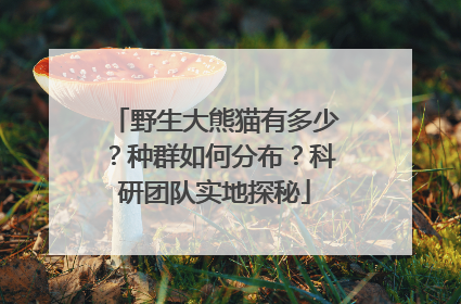 野生大熊猫有多少？种群如何分布？科研团队实地探秘