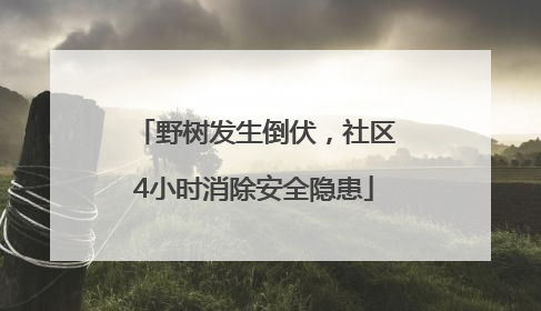野树发生倒伏，社区4小时消除安全隐患