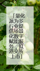 量化派为多行业提供场景化数字赋能服务，拟港交所上市
