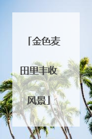 金色麦田里丰收风景