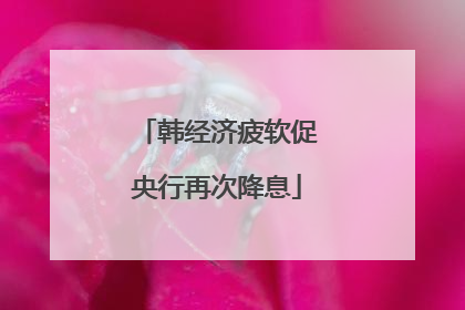 韩经济疲软促央行再次降息