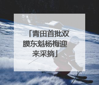 青田首批双膜东魁杨梅迎来采摘