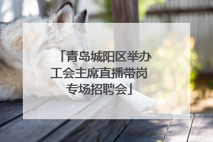 青岛城阳区举办工会主席直播带岗专场招聘会