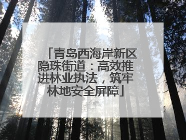 青岛西海岸新区隐珠街道：高效推进林业执法，筑牢林地安全屏障