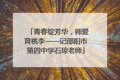 青春绽芳华，师爱育桃李——记邵阳市第四中学石琼老师