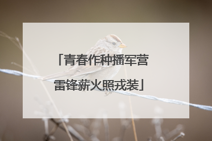 青春作种播军营 雷锋薪火照戎装