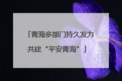 青海多部门持久发力共建“平安青海”
