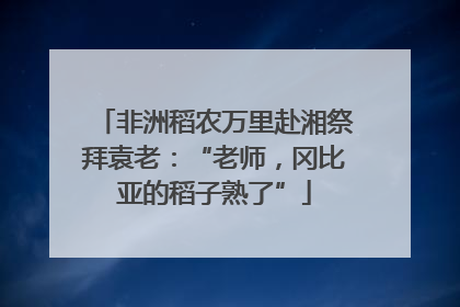 非洲稻农万里赴湘祭拜袁老：“老师，冈比亚的稻子熟了”