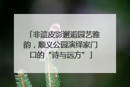 非遗皮影邂逅园艺雅韵，顺义公园演绎家门口的“诗与远方”