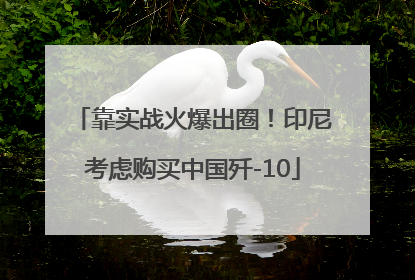 靠实战火爆出圈！印尼考虑购买中国歼-10