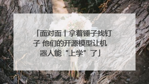 面对面丨拿着锤子找钉子 他们的开源模型让机器人能“上学”了