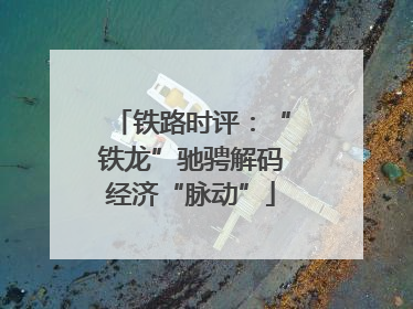铁路时评：“铁龙”驰骋解码经济“脉动”