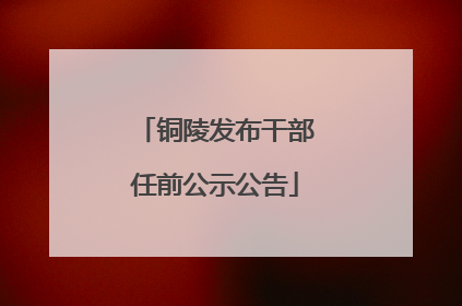铜陵发布干部任前公示公告