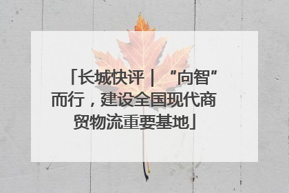 长城快评｜“向智”而行，建设全国现代商贸物流重要基地