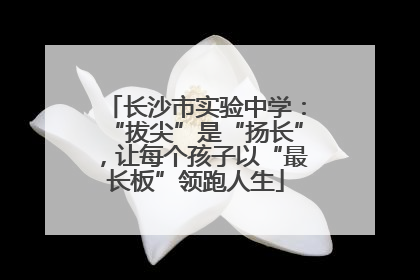 长沙市实验中学：“拔尖”是“扬长”，让每个孩子以“最长板”领跑人生