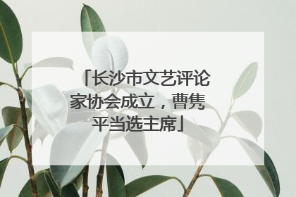 长沙市文艺评论家协会成立，曹隽平当选主席