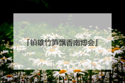 镇雄竹笋飘香南博会