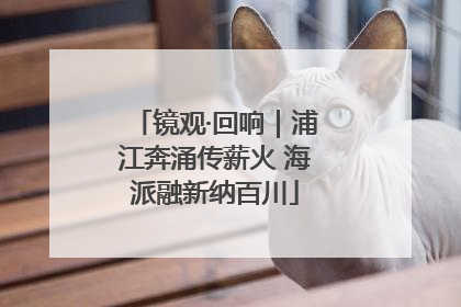 镜观·回响｜浦江奔涌传薪火 海派融新纳百川