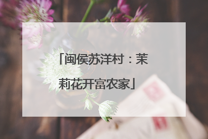 闽侯苏洋村：茉莉花开富农家
