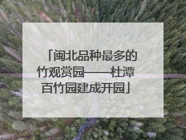 闽北品种最多的竹观赏园——杜潭百竹园建成开园