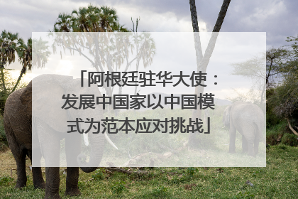 阿根廷驻华大使：发展中国家以中国模式为范本应对挑战