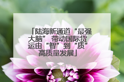 陆海新通道“最强大脑” 带动国际货运由“智”到“质”高质量发展