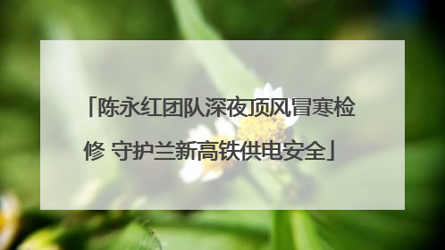 陈永红团队深夜顶风冒寒检修 守护兰新高铁供电安全