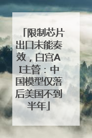 限制芯片出口未能奏效，白宫AI主管：中国模型仅落后美国不到半年