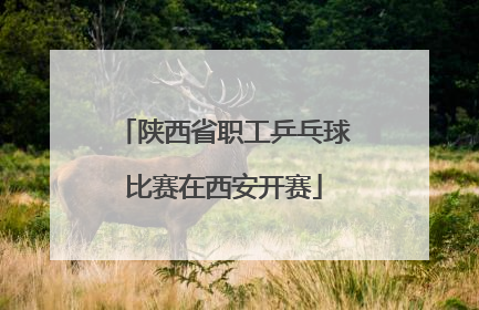 陕西省职工乒乓球比赛在西安开赛