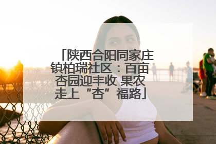 陕西合阳同家庄镇柏瑞社区：百亩杏园迎丰收 果农走上“杏”福路