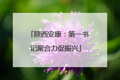 陕西安康：第一书记聚合力促振兴
