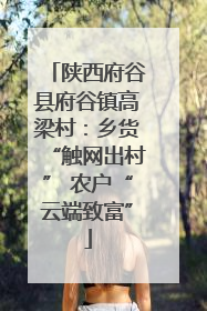 陕西府谷县府谷镇高梁村：乡货“触网出村” 农户“云端致富”