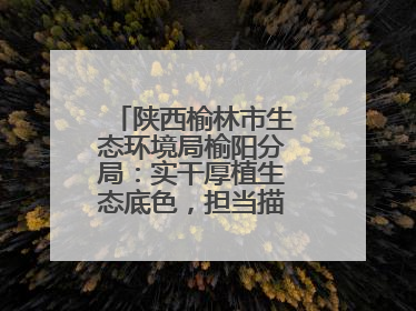 陕西榆林市生态环境局榆阳分局：实干厚植生态底色，担当描绘绿色答卷