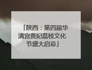 陕西：第四届华清宫贵妃荔枝文化节盛大启幕