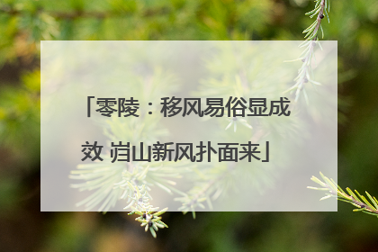 零陵：移风易俗显成效 岿山新风扑面来