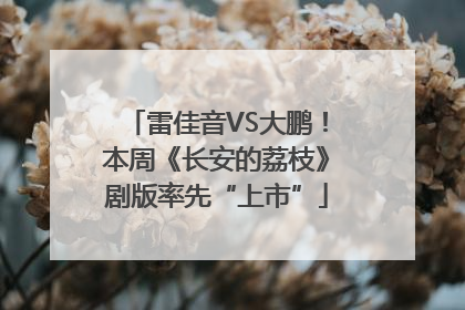 雷佳音VS大鹏！本周《长安的荔枝》剧版率先“上市”