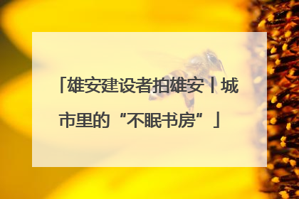 雄安建设者拍雄安丨城市里的“不眠书房”