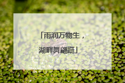 雨润万物生，湖畔舞翩跹