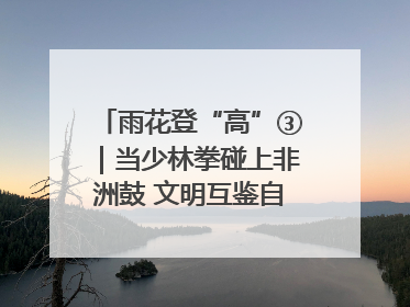 雨花登“高”③｜当少林拳碰上非洲鼓 文明互鉴自有动人韵律