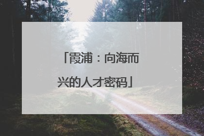霞浦：向海而兴的人才密码
