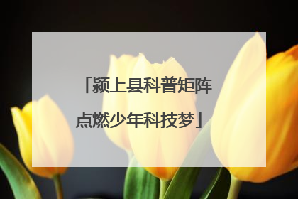颍上县科普矩阵点燃少年科技梦
